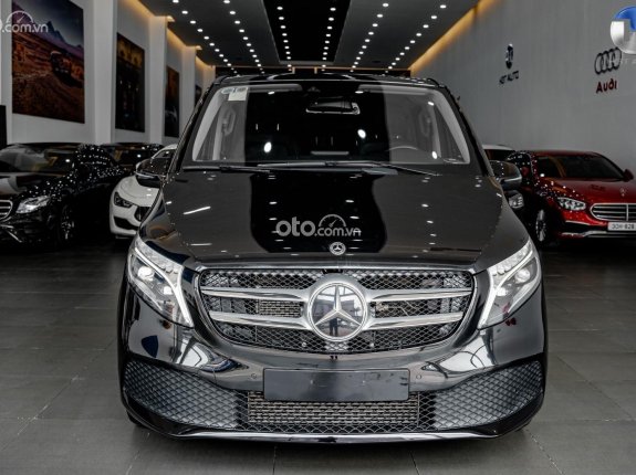 Mercedes-Benz V250 Luxury 2019 - Bao đậu bank 70-90%