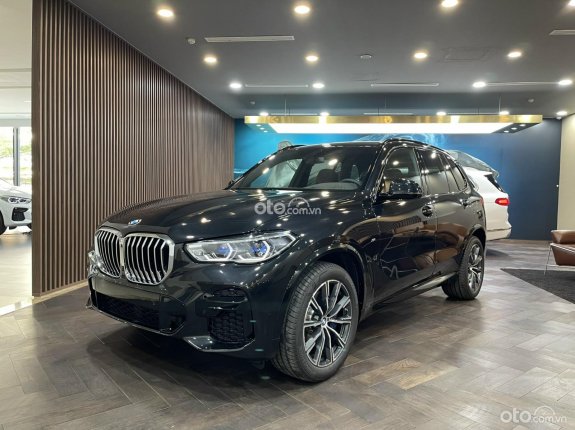 BMW X5 xDrive40i Msport 2022 - Mẫu SUV hạng sang cỡ lớn bán chạy nhất 6 tháng đầu năm 2023
