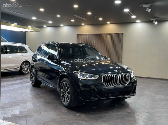 BMW X5 xDrive40i Msport 2022 - Mẫu SUV hạng sang cỡ lớn bán chạy nhất 6 tháng đầu năm 2023
