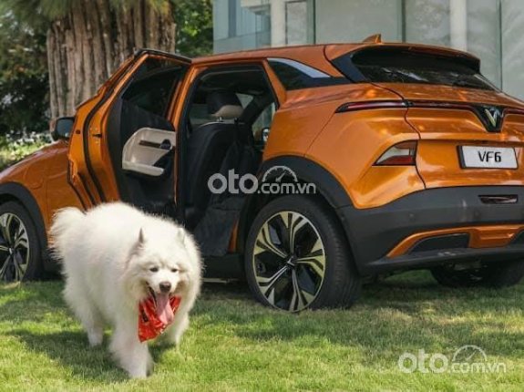VinFast VF6 2024 - Miễn phí sạc đến 30/06/2027