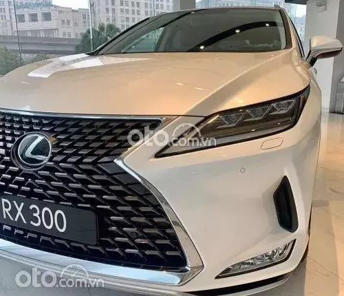 Lexus RX 300 2023 - Vẻ ngoài mạnh mẽ thu hút mọi ánh nhìn