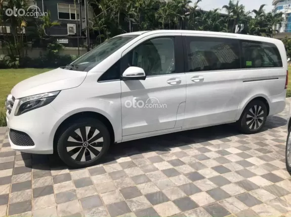 Mercedes-Benz V250 Luxury 2024 - Màu đẹp, tặng phụ kiện chính hãng theo xe, giảm tiền ngay