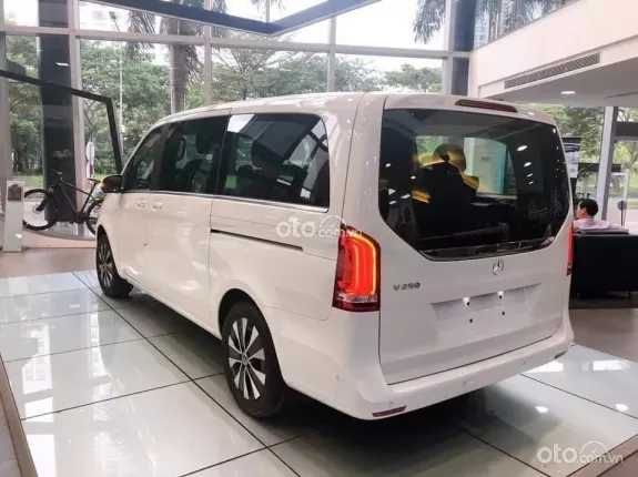 Mercedes-Benz V250 Luxury 2024 - Màu đẹp, tặng phụ kiện chính hãng theo xe, giảm tiền ngay
