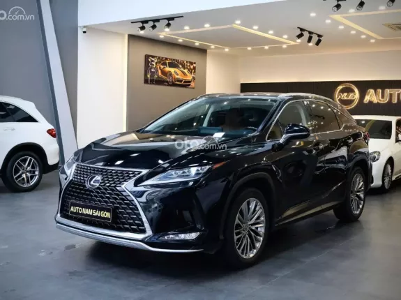 Lexus RX 300 2022 - Đăng ký lần đầu 2022, còn bảo hành hãng đến 2025