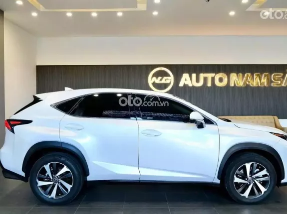 Lexus NX 300 T 2018 - 1 chủ từ đầu đẹp như mơ