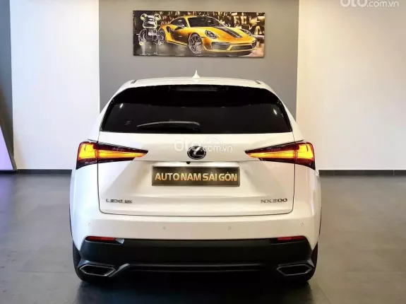 Lexus NX 300 T 2018 - 1 chủ từ đầu đẹp như mơ