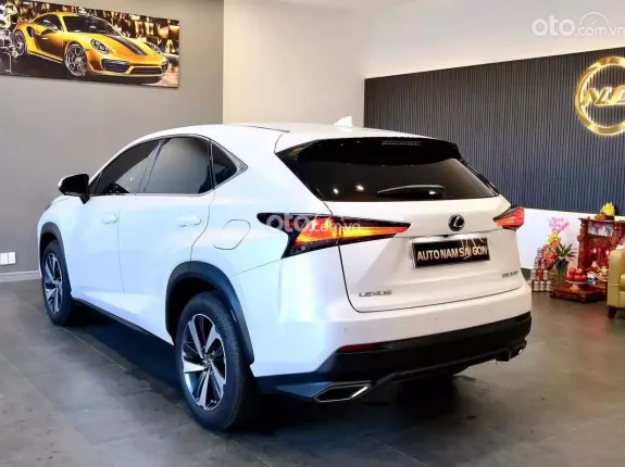 Lexus NX 300 T 2018 - 1 chủ từ đầu đẹp như mơ