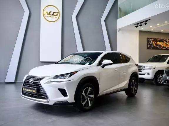 Lexus NX 300 T 2018 - Đủ hồ sơ sang tên