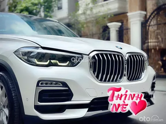 BMW X5 xDrive40i xLine 2019 - Cần bán BMW X5 Xline sx 2019 nhập Mỹ nguyên chiếc