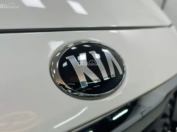 Kia Sedona 3.3 Platinum G 2019 - Xe lướt chất lượng như mới