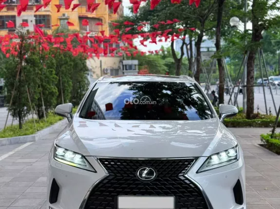 Lexus RX 300 T 2020 - Hàng đẹp khó tìm, bao check xe, chất lượng khỏi chê