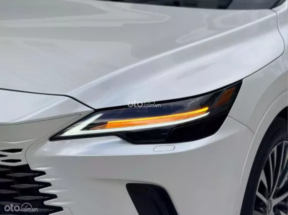 Lexus RX 350 RX 350H 2024 - Xe Có cửa hít đồ chơi giá trị cao
