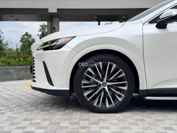 Lexus RX 350 RX 350H 2024 - Xe Có cửa hít đồ chơi giá trị cao