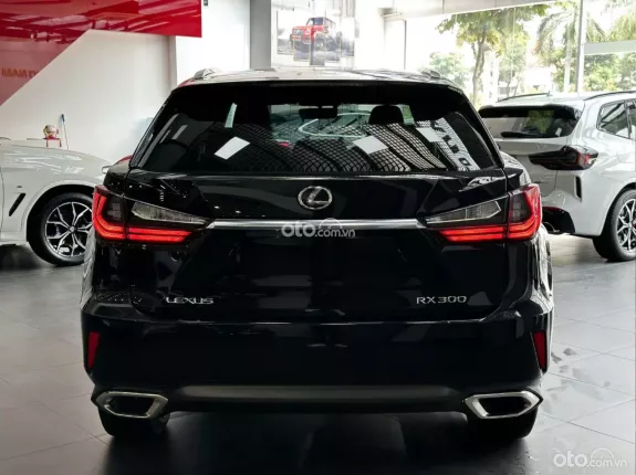 Lexus RX 300 T 2019 - Xe bảo dưỡng đầy đủ, bao check thoải mái