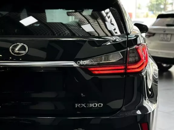Lexus RX 300 T 2019 - Xe bảo dưỡng đầy đủ, bao check thoải mái