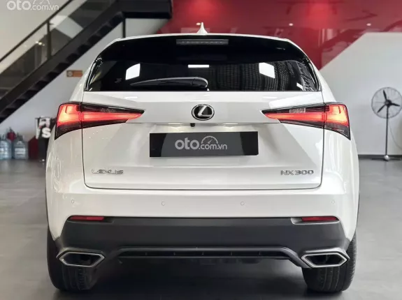 Lexus NX 300 T 2019 - Chất xe còn đẹp, chủ đi giữ, nội thất khỏi chê