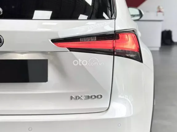 Lexus NX 300 T 2019 - Chất xe còn đẹp, chủ đi giữ, nội thất khỏi chê