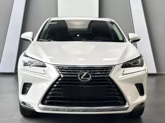 Lexus NX 300 T 2019 - Chất xe còn đẹp, chủ đi giữ, nội thất khỏi chê