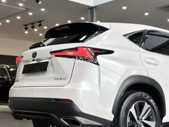 Lexus NX 300 T 2019 - Chất xe còn đẹp, chủ đi giữ, nội thất khỏi chê