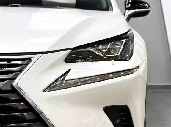 Lexus NX 300 T 2019 - Chất xe còn đẹp, chủ đi giữ, nội thất khỏi chê