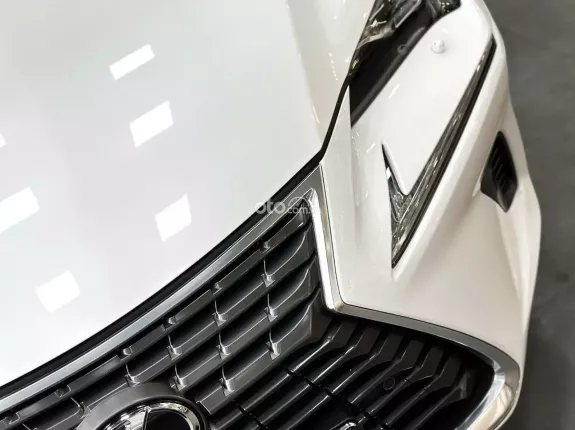 Lexus NX 300 T 2019 - Chất xe còn đẹp, chủ đi giữ, nội thất khỏi chê