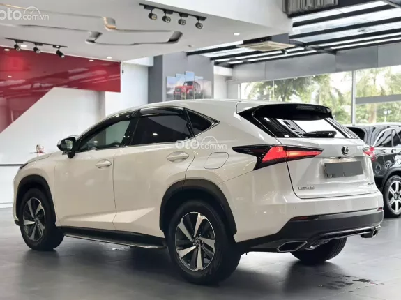 Lexus NX 300 T 2019 - Chất xe còn đẹp, chủ đi giữ, nội thất khỏi chê