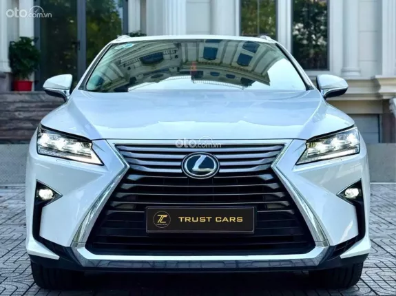 Lexus RX 300 T 2019 - 1 chủ, siêu lướt, odo chuẩn