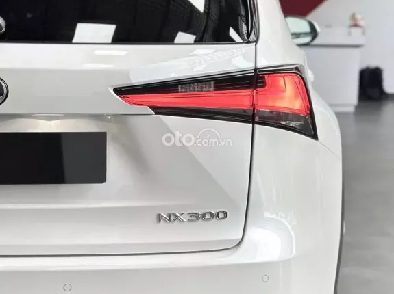 Lexus NX 300 T 2019 - Model 2020 cực đẹp - Bảo dưỡng hãng đầy đủ