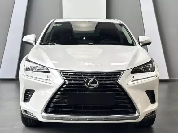 Lexus NX 300 T 2019 - Model 2020 cực đẹp - Bảo dưỡng hãng đầy đủ