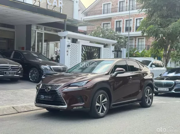 Lexus NX 300 T 2019 - Xe sang nhập khẩu Nhật Bản, chất lượng đỉnh cao