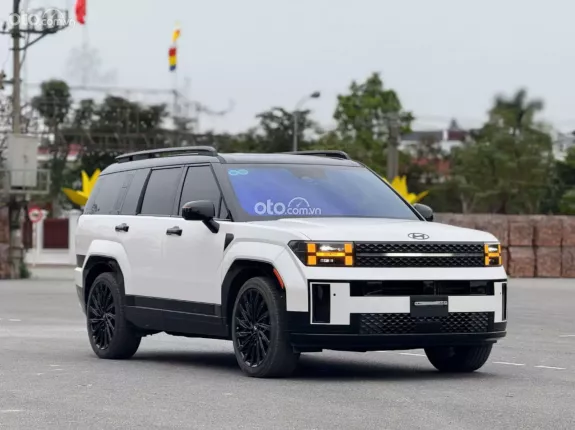 Hyundai Santa Fe Calligraphy 2.5 Turbo 2024 - Xe đẹp bản full