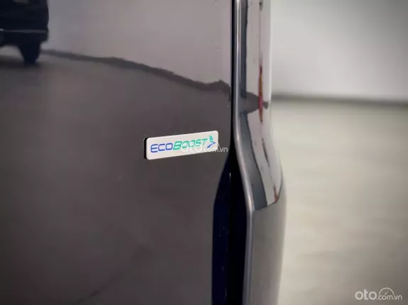 Ford Tourneo Dcar President 2019 - Model 2020