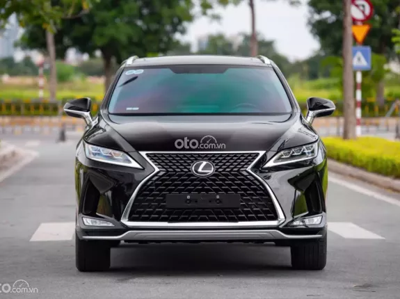 Lexus RX 300 2019 - Lexus RX 300 2019
