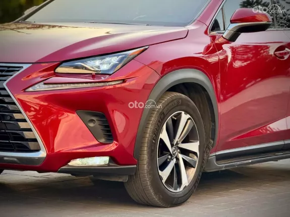 Lexus NX 300 T 2019 - Thiết kế thể thao, đẳng cấp vượt trội