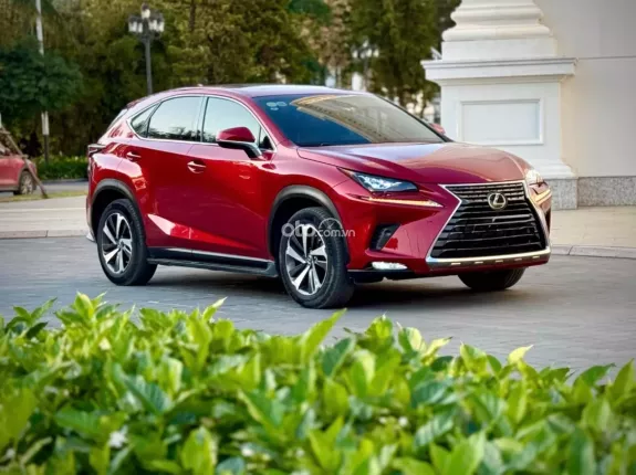 Lexus NX 300 T 2019 - Thiết kế thể thao, đẳng cấp vượt trội