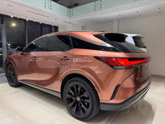Lexus RX 350 Luxury 2023 - 46.000km - mua gốc công ty - xuất hoá đơn VAT