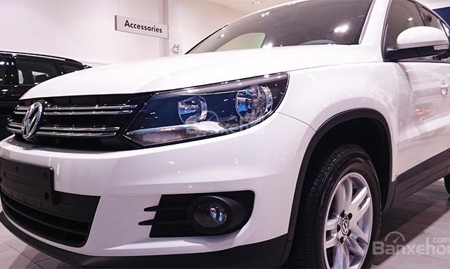 Bán Volkswagen Tiguan DA đời 2016, màu trắng, nhập khẩu nguyên chiếc, khuyến mãi 50% phí trước bạ