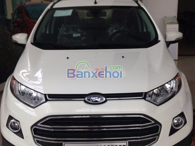 Bán Ford EcoSport đời 2015, màu trắng 