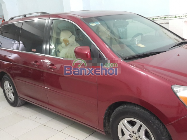 Bán Honda Odyssey Turing đời 2005, màu đỏ, xe nhập, còn mới 