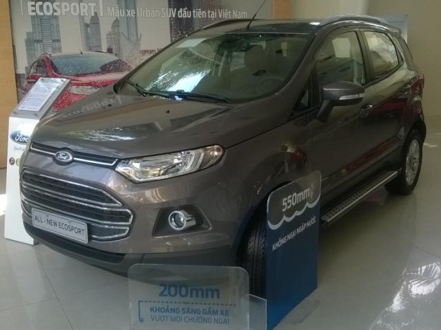 Bán xe Ford EcoSport đời 2015, màu xám, 681 triệu