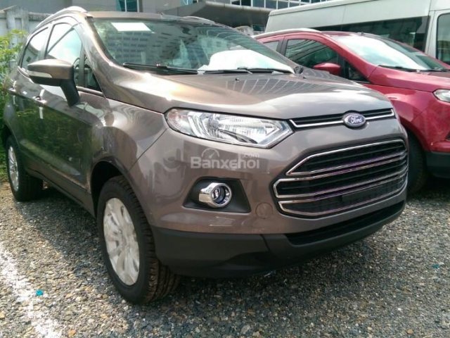 Cần bán xe Ford EcoSport 1.5 Titanium 1.5 AT năm 2017, giá chỉ 575 triệu, đủ màu giao xe luôn