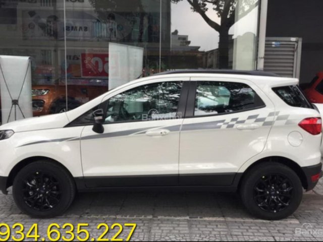 Ford EcoSport đời 2016 màu trắng, giá chỉ 595 triệu, hỗ trợ vay 80% lãi suất thấp, liên hệ: 0934.635.227