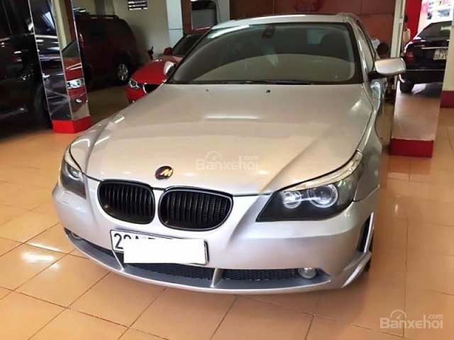 Cần bán xe cũ BMW 5 Series 520i đời 2004, màu bạc, xe nhập