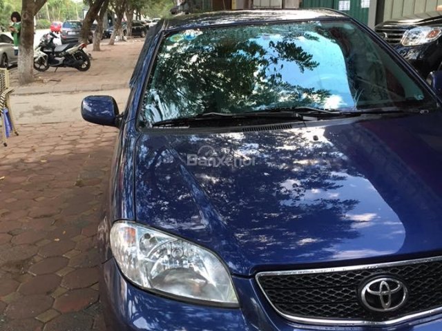 Cần bán Toyota Vios G đời 2003, màu xanh đẹp xuất sắc