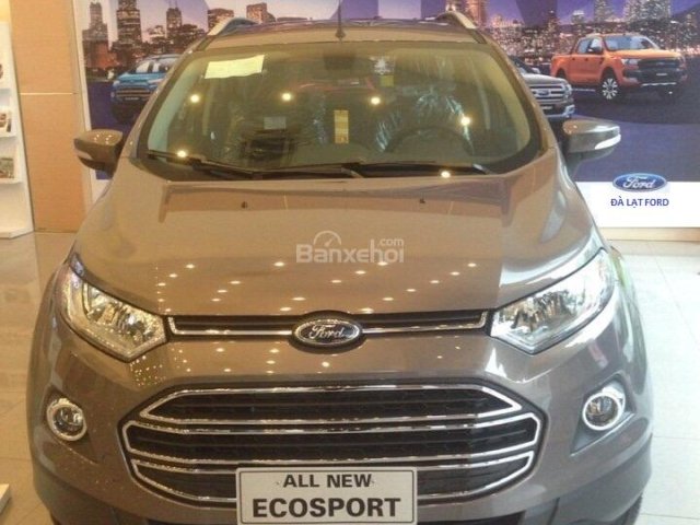 Ford Ecosport Titanium 1.5L 2017, giá 600 triệu, hỗ trợ vay 80%, xe đủ màu giao ngay