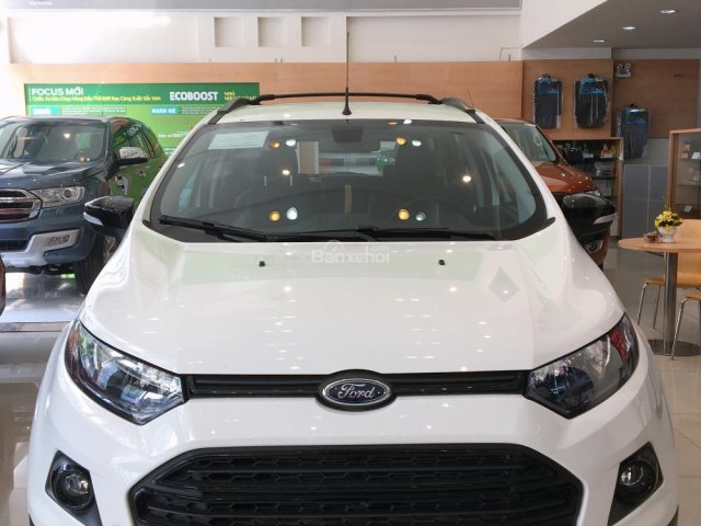 Bán xe Ford EcoSport Black Edition giá tốt, hỗ trợ mua trả góp 90%. LH ngay: 0909456313