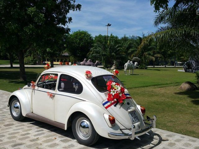 Bán Volkswagen Beetle năm 1980, màu trắng, xe nhập, giá tốt