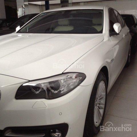 Bán BMW 5 Series đời 2015, màu trắng, nhập khẩu nguyên chiếc