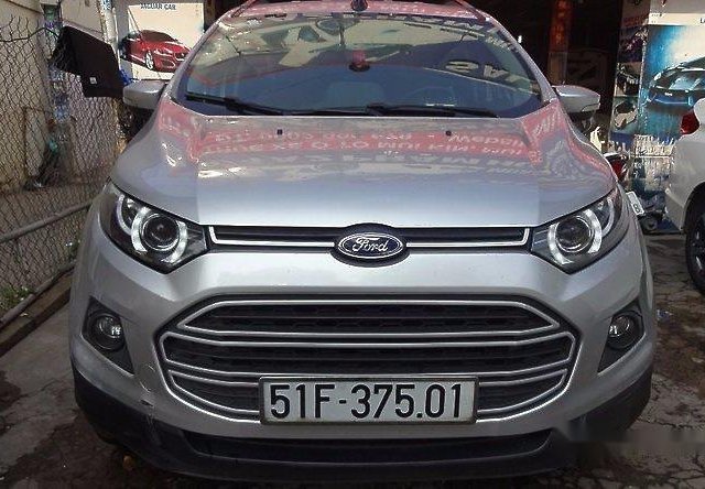 Cần bán Ford EcoSport đời 2015, màu bạc