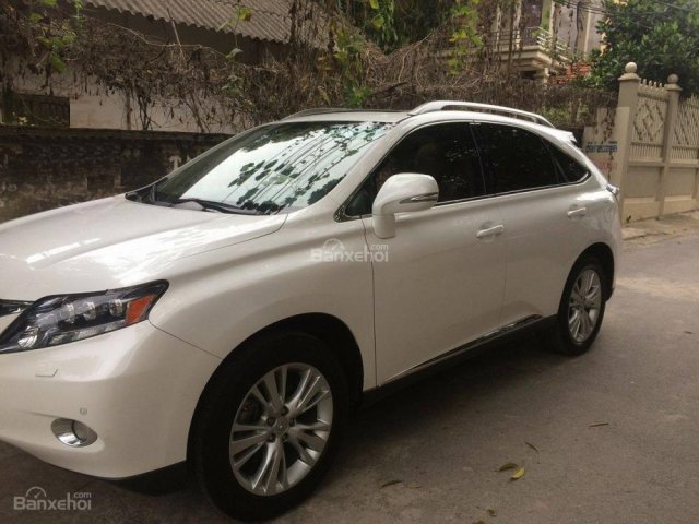 Bán ô tô Lexus RX năm 2009, màu trắng, nhập khẩu chính hãng